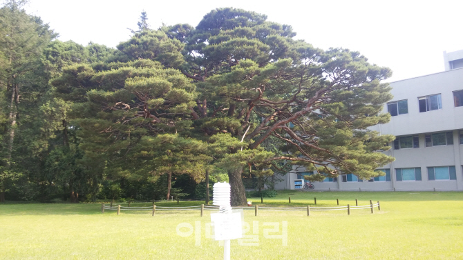 도시;숲;그리고 이미지