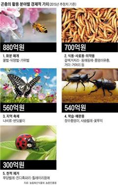 고흥인력 이미지