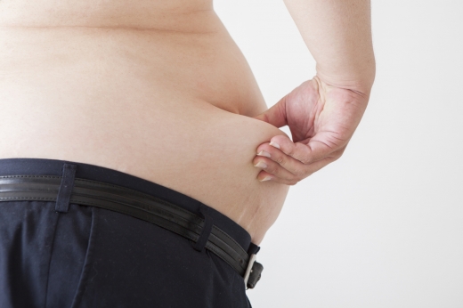 미국인, 더 뚱뚱해졌다..20년간 평균 체중 6.8kg 증가 - 서울신문
