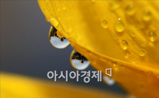 [날씨]입추에도 불볕더위 계속, 낮 최고기온 35도 - 아시아경제