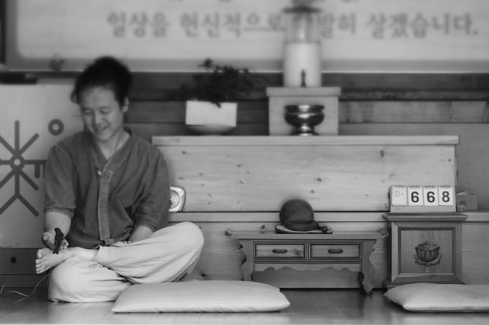 하루 이미지