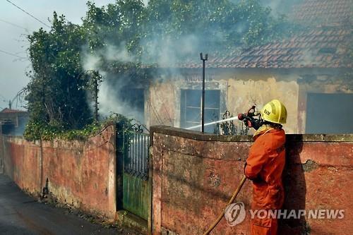푼샬 주택가로 번진 산불을 진화하는 소방관[AP=연합뉴스]