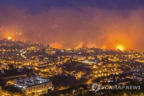 푼샬 인근 지역으로 번진 마데이라 섬 산불[EPA=연합뉴스]