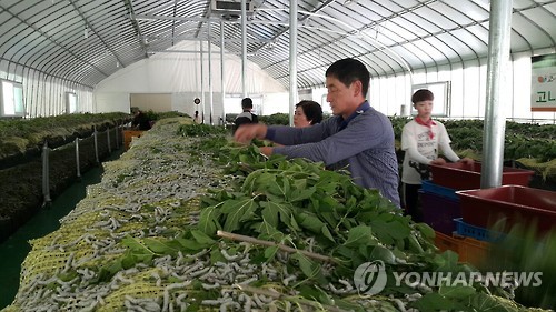 고니골농장 이미지