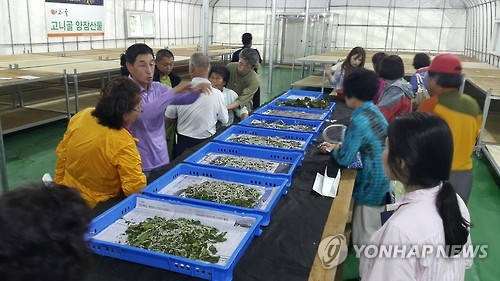 고니골농장 이미지