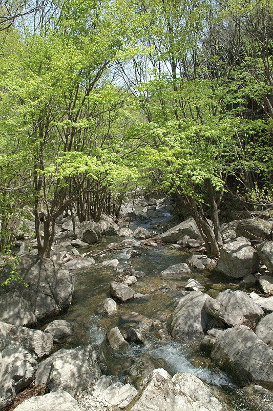 산촌마을 이미지