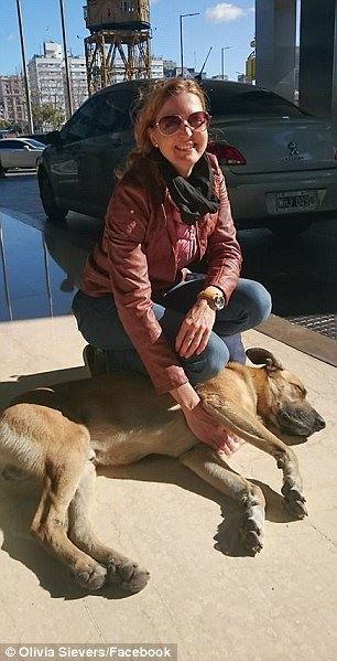 독일인 스튜어디스 지페르스씨는 부에노스아이레스 거리를 걷다 만난 떠돌이 개에게 작은 호의를 베풀었고, 개는 지페르스씨를 따르게 됐다. 올리비아 지페르스 페이스북