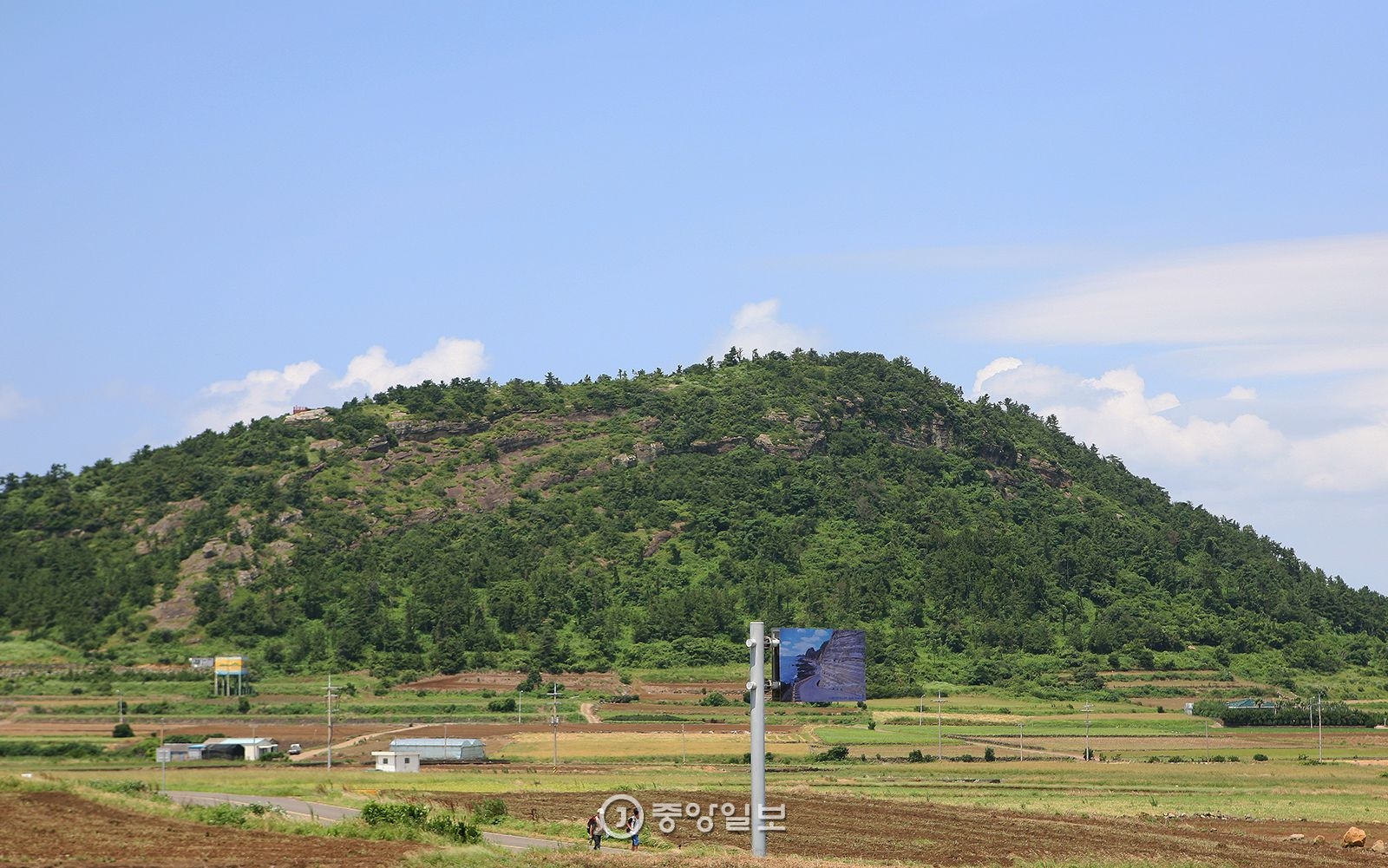 수월봉 입구에서 바라본 당산봉. 옛날 봉수대가 있어서 오름 이름에 ‘봉(峰)’ 자가 붙었다. 고산리 사람들은 당산봉을 ‘남자 산’, 수월봉을 ‘여자 산’이라고 한다.