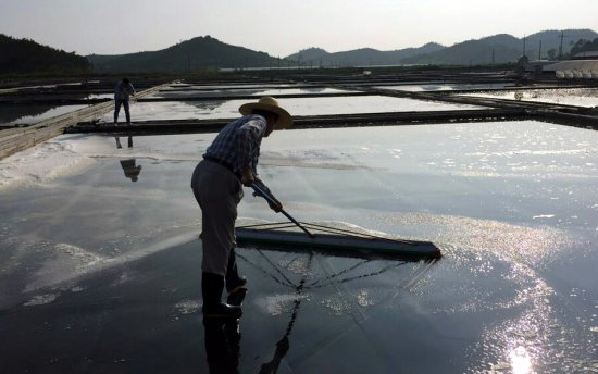 [포착]"속옷 빨고 수염 기른 김무성, 남사스럽다"..친박 정우택 직격탄