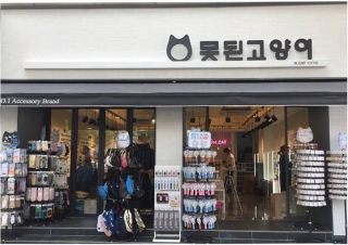 못된고양이 이미지