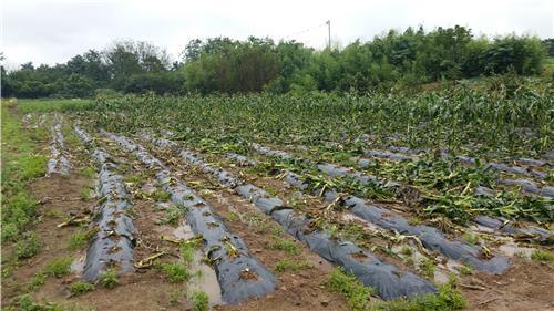 ������� ������� ����� ���� ���� ��������