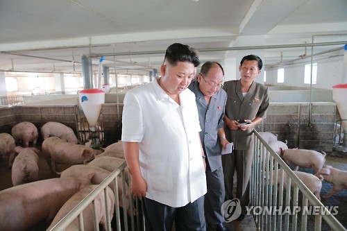 돼지공화국 이미지