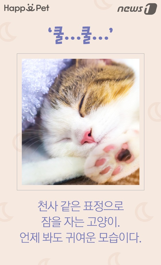 잠꾸러기 이미지
