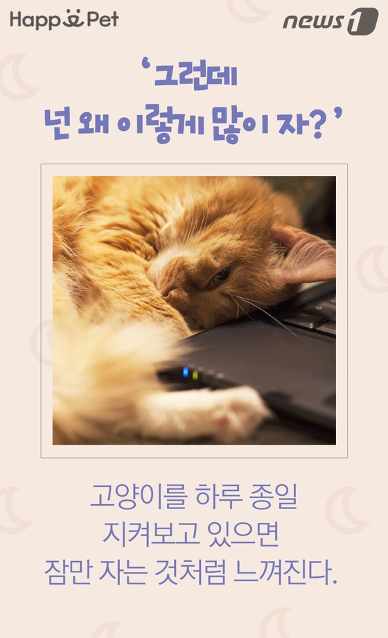 잠꾸러기 이미지