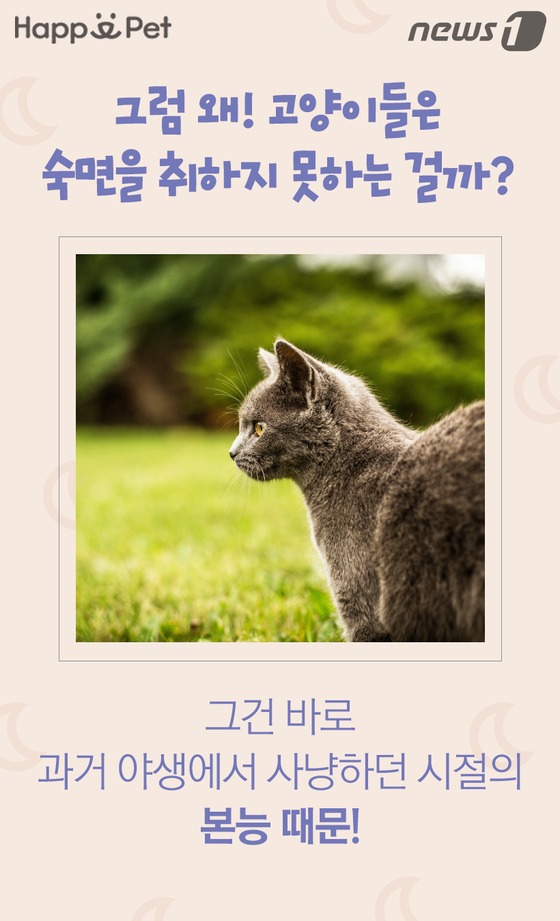 잠꾸러기 이미지