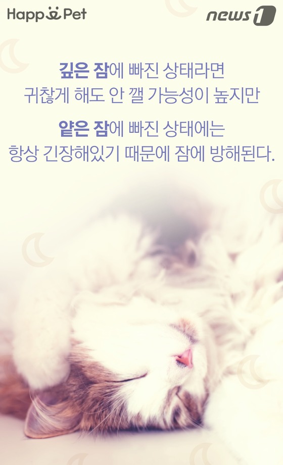 잠꾸러기 이미지