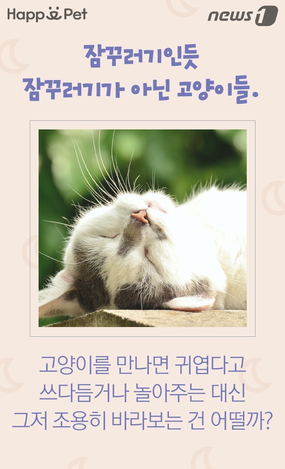 잠꾸러기 이미지