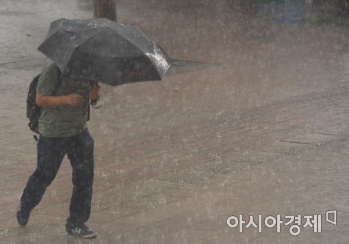 소나기 이미지