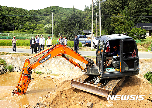 안동시 폭염·가뭄속 밭작물 피해 '확산' - 뉴시스