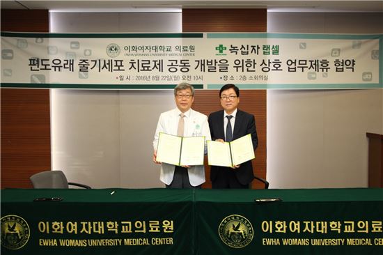 이화개발 이미지