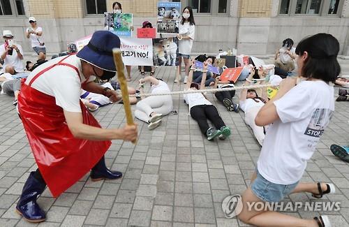 고양이·개 훼손 사체 발견 빈번..동물학대 끊이지 않아 - 연합뉴스