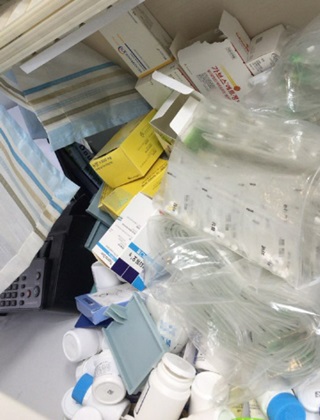 배지현 교육연수생