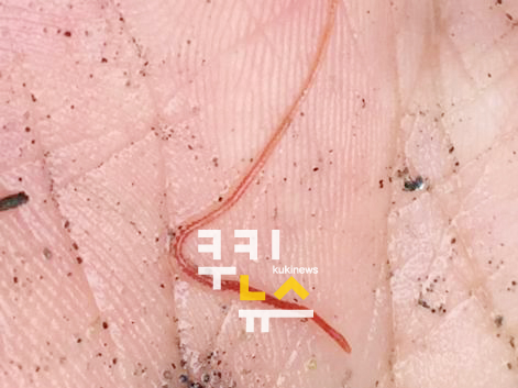 낙동급수 이미지