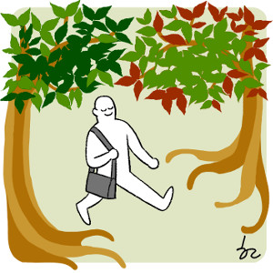미지로여행세상 이미지