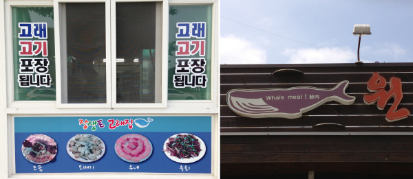 산고래 이미지