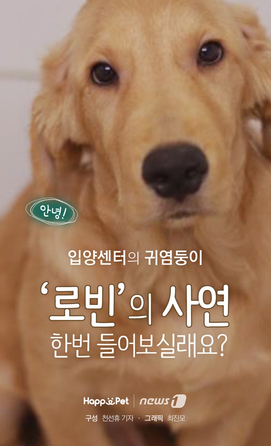 로빈 이미지