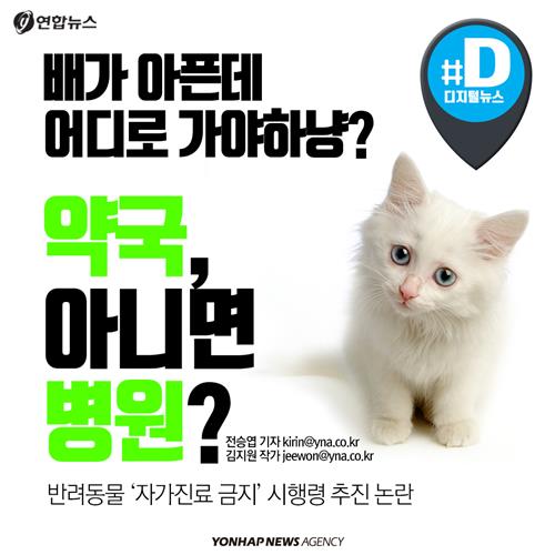 하냥 이미지