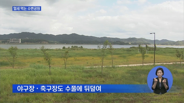 금강신세 이미지