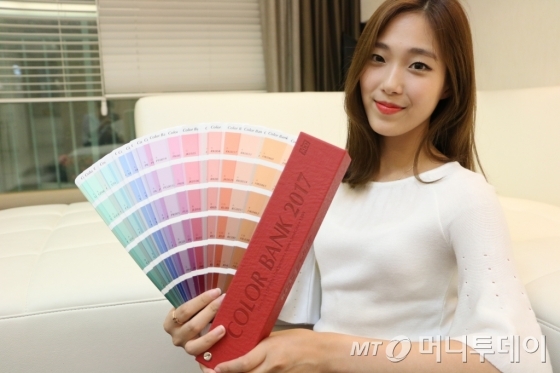 KCC종합페인트 이미지
