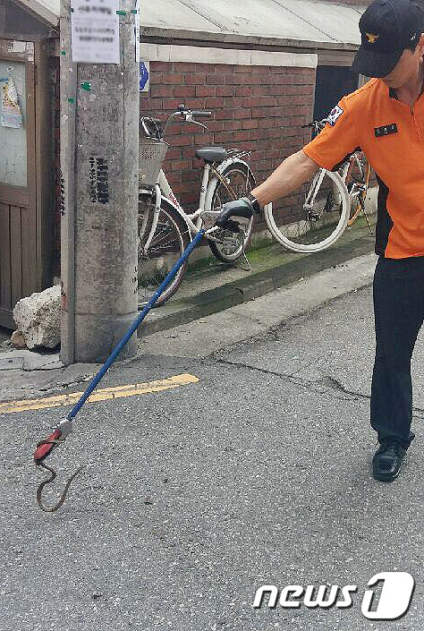 주택가 이미지