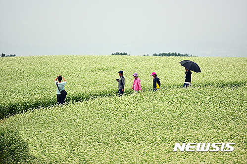 농업회사법인제주오라(유) 이미지