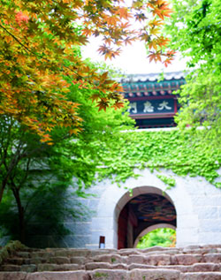 보물단지 이미지