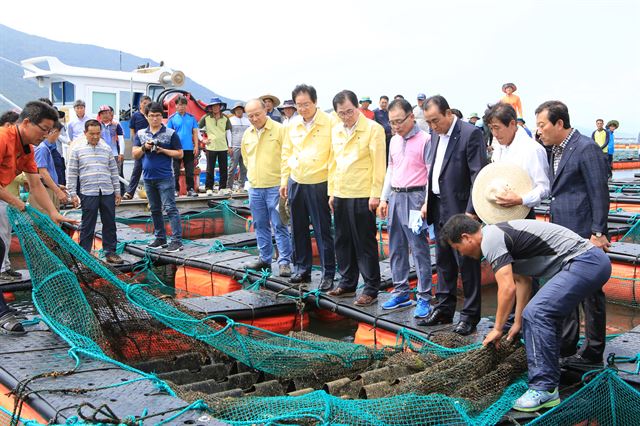 한국전복연구소 이미지