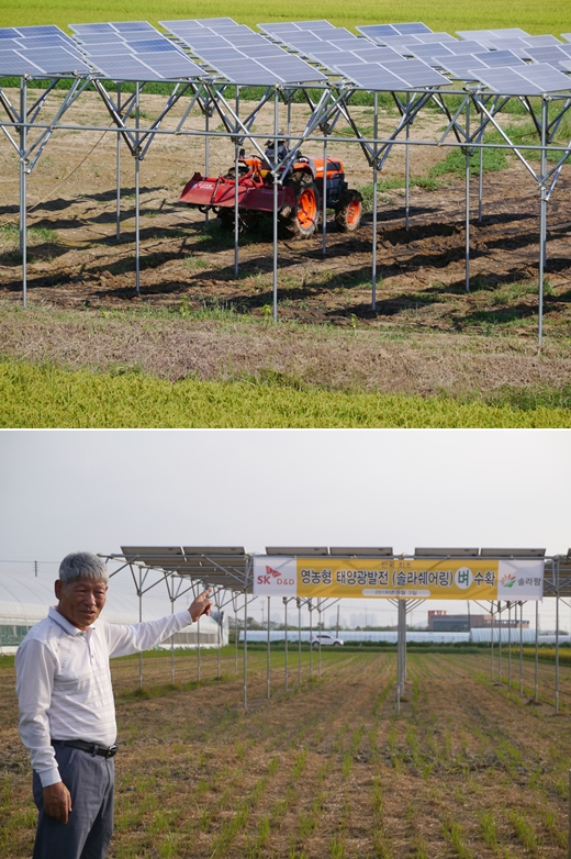 (주)에스케이팜 이미지