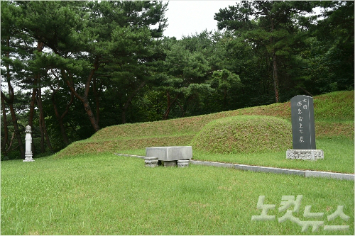 묘 이미지