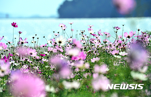낮밤 이미지