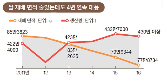 온난화의 역습..너무 잘 크는 벼 - 중앙일보
