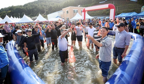 서산낙지 이미지
