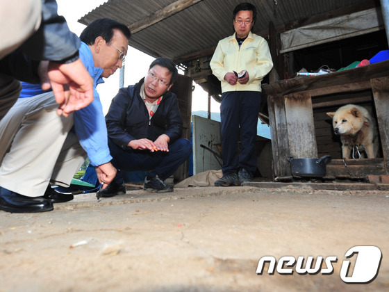 9·12 지진 이후 가축들도 이상증상..