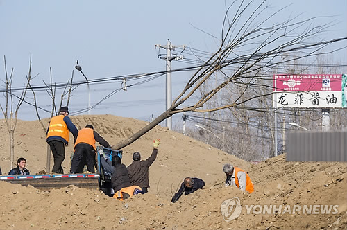 中 17년간 한반도보다 큰 숲 조성..