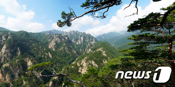 설악산 오색지구의 만경대에서 바라본 풍경.(양양군 제공)1 © News1 엄용주 기자