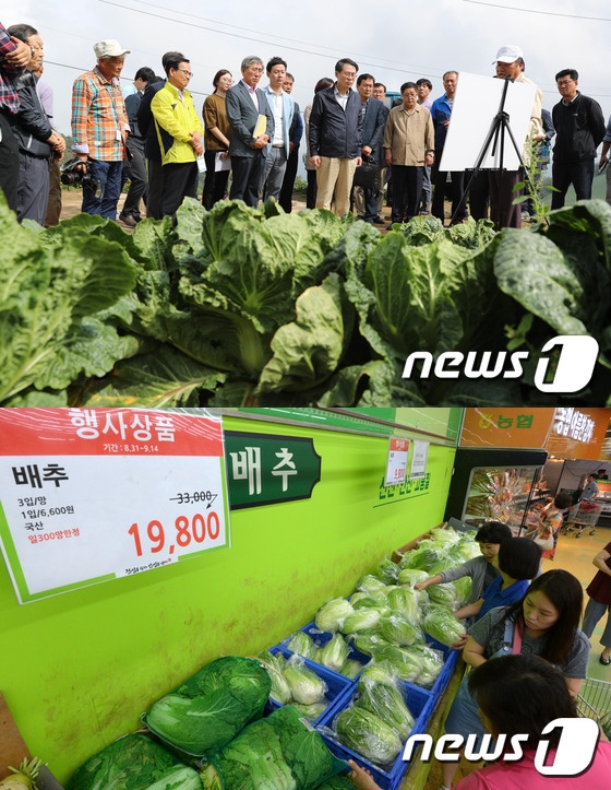일성축산 이미지