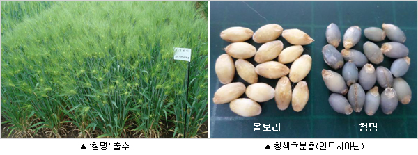 청명개발 이미지