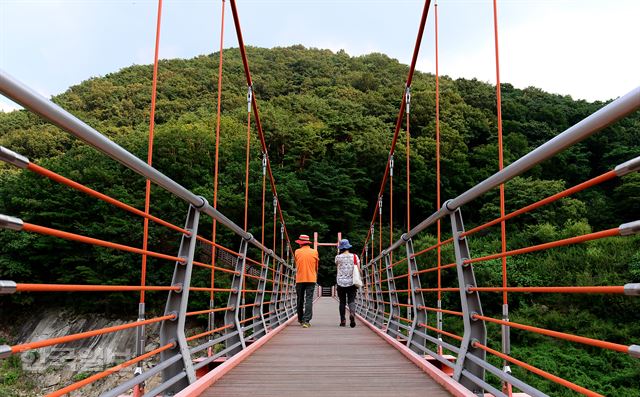 종댕이길 마지막 구간에 설치된 출렁다리.