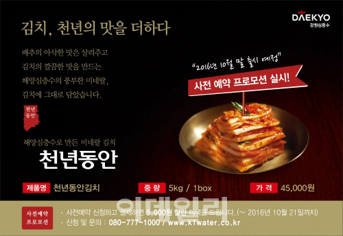천년동안 이미지