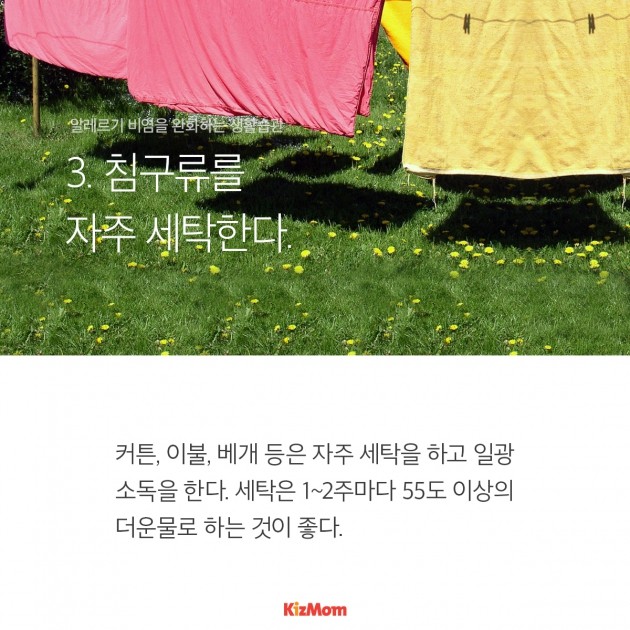 카드뉴스 - 초가을, 알레르기 비염 극복하기